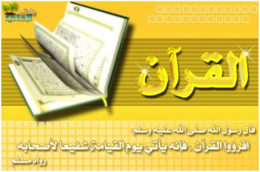 Http Quran Com 2 Relkooly